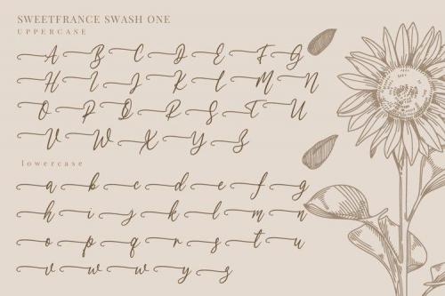 Sweetfrance Handwritten Script Font 2