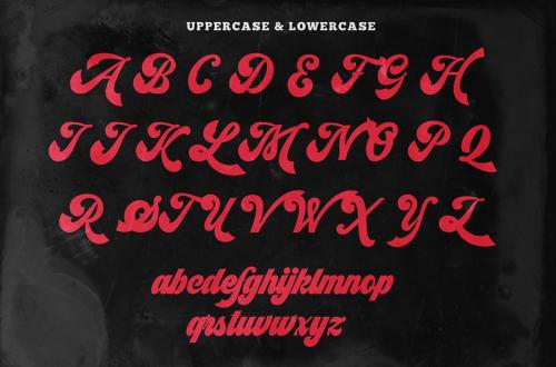 Synchro Retro Bold Script Font 10