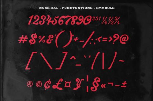 Synchro Retro Bold Script Font 11
