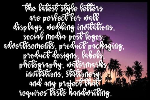 The Coconut Script Font 4