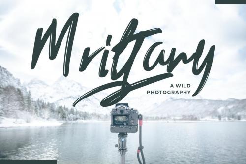 Trackers Brush Font 4