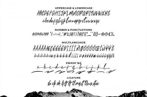 Trackers Brush Font 5