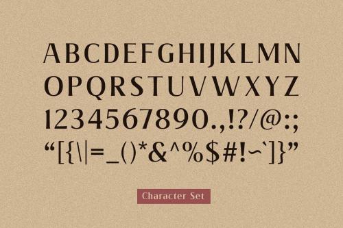 Valeria Elegant Serif Font 1