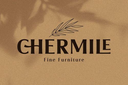 Valeria Elegant Serif Font 3