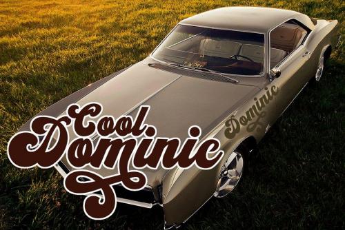 Vintage King Script Font 11