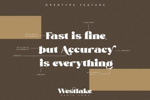Westlake Serif Font 8