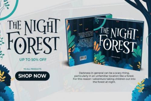 Wonder Night Display Font 2