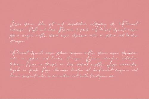 Yonitta Signature Script Font 13