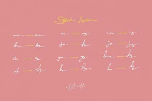 Yonitta Signature Script Font 8