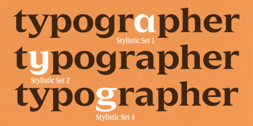 Zin Display Font 4