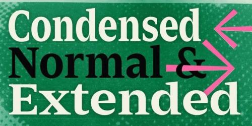 Zin Serif Font 2
