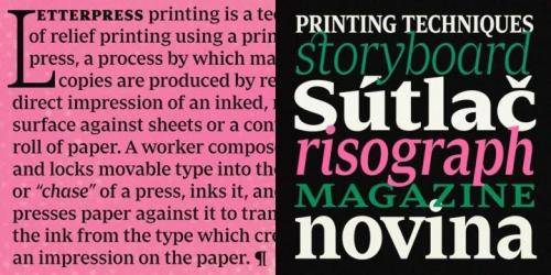 Zin Serif Font 3