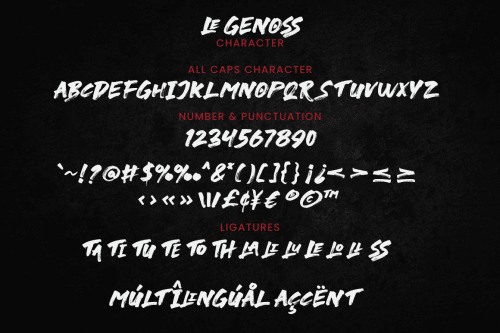 le Genoss Brush Font 6
