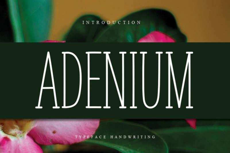 ADENIUM Display Font