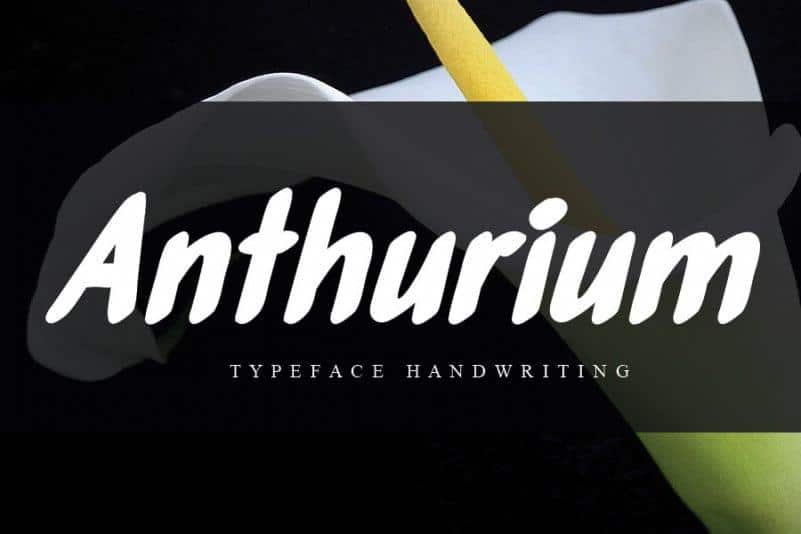 Anthurium Brush Font