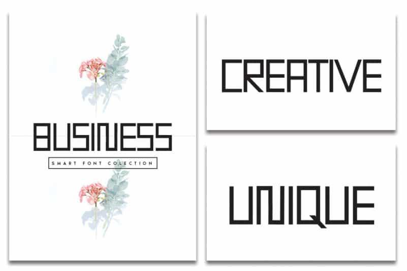 Begonia Display Font 3