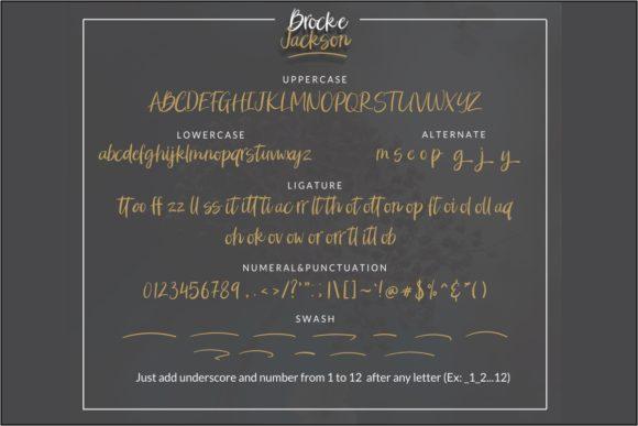 Brocke Jackson Script Font 9