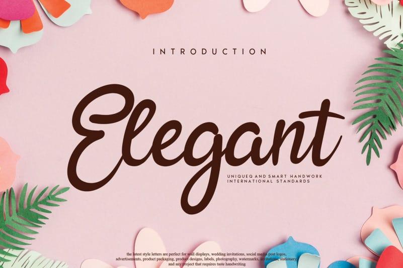 Elegant Script Font
