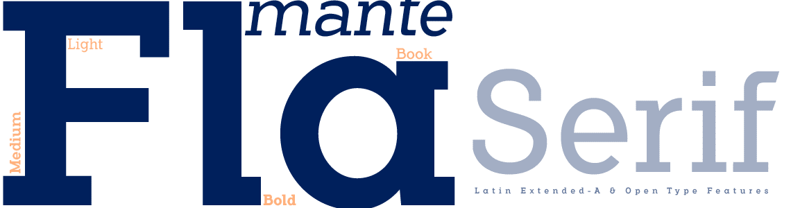 Flamante Serif Fonts  4