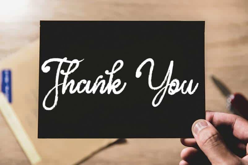 Gamelia Script Font 4