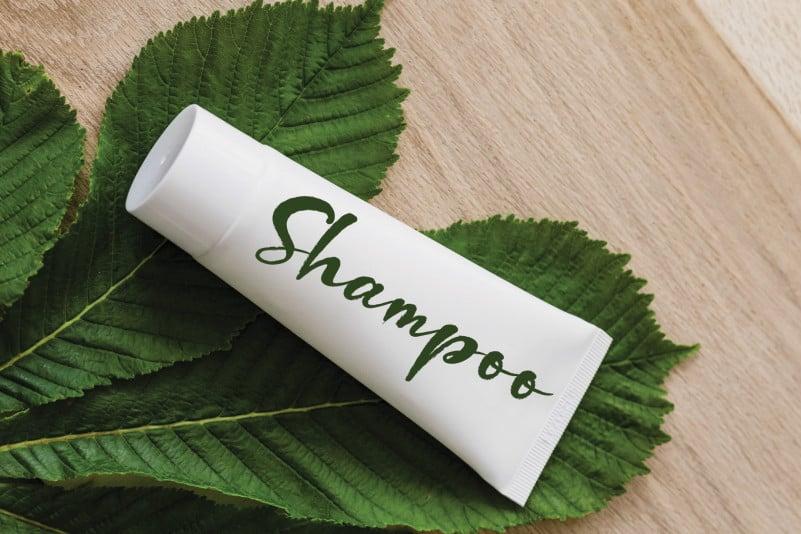 Hydrangea Flower Script Font 3