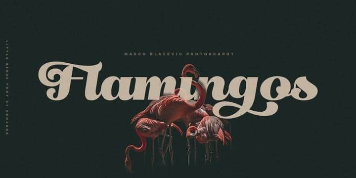 Little Birds Script Font 2