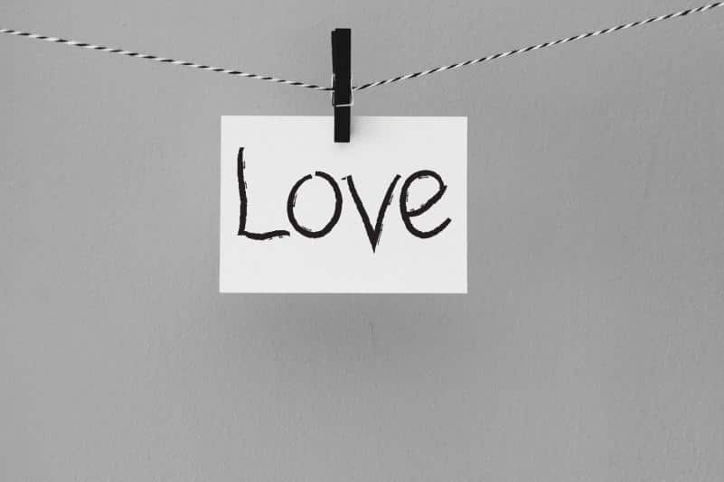 Magnolia Flower Script Font 1