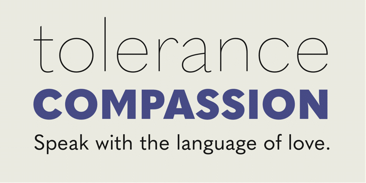 Quasimoda Font Family 1