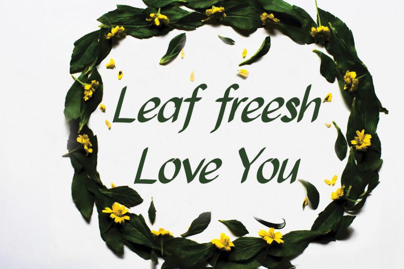 Quince Flower Brush Font 2