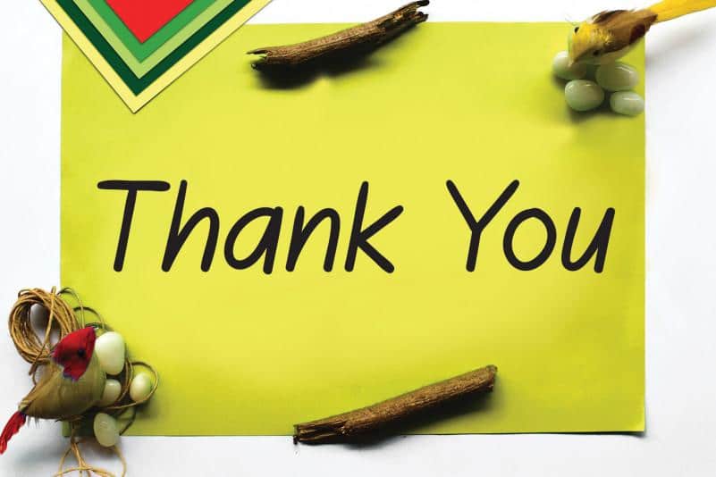 Ragilonia Flower Handwritten Font 3