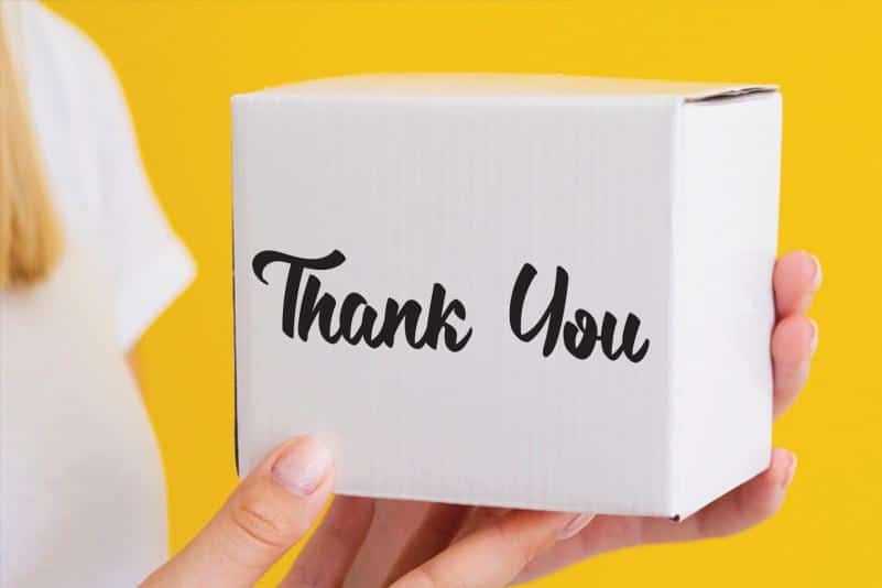 Snowball Bush Script Font 4