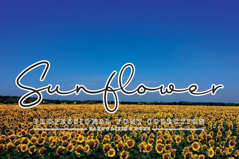 Sunflower Handwritten Font (1) (1)