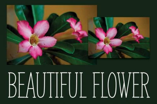 ADENIUM Display Font 2