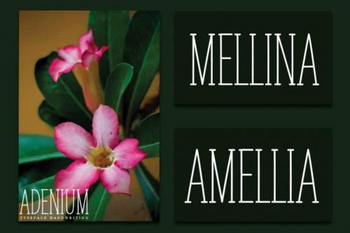 ADENIUM Display Font 3