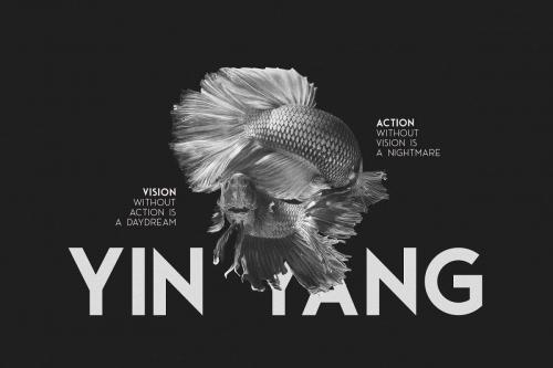 Ace Sans Font Family  7