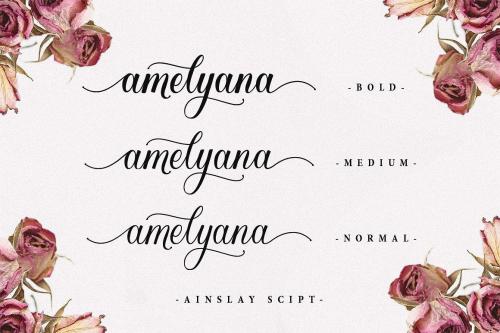 Ainslay Script Font 1