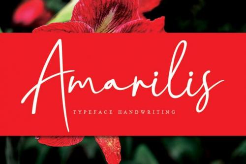 Amarilis Script Font