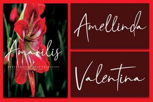 Amarilis Script Font 3