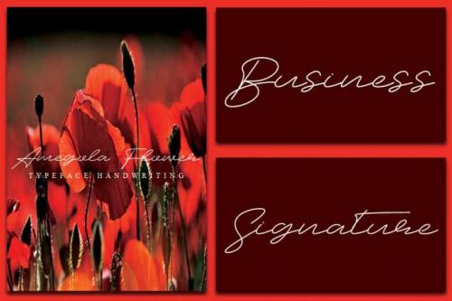 Amegola Flower Handwritten Font 3