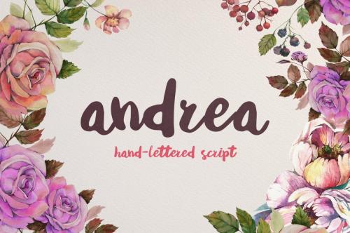 Andrea Script Font 0