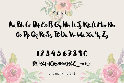 Andrea Script Font 1