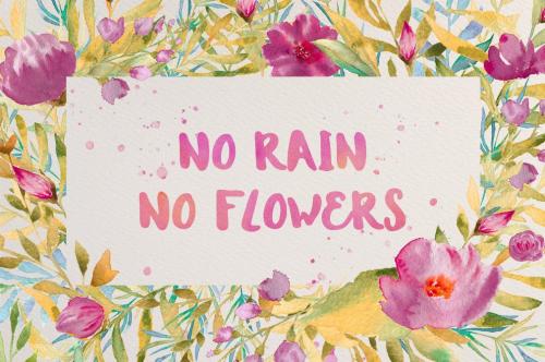 Andrea Script Font 44