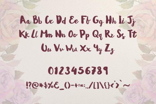 Andrea Script Font 5
