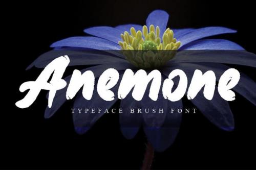 Anemone Brush Font