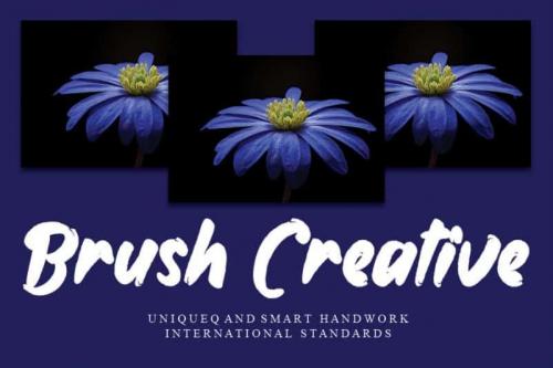Anemone Brush Font 2