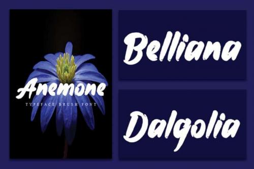 Anemone Brush Font 3