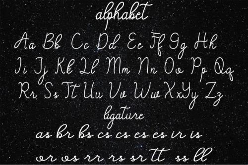 Angelica Calligraphy Font  3