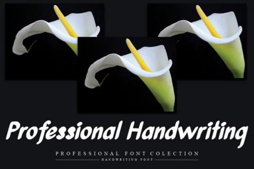 Anthurium Brush Font 2