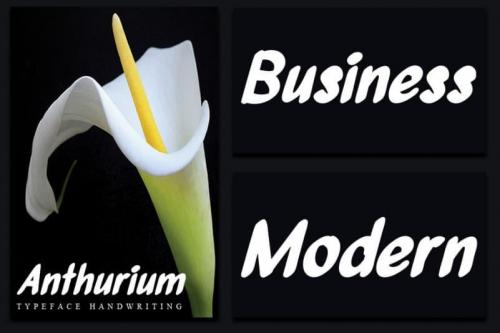 Anthurium Brush Font 3