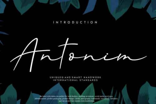Antonim Script Font